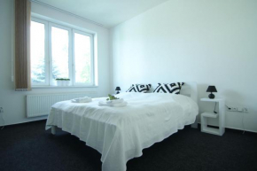 Apartman Amanda, Podebrady